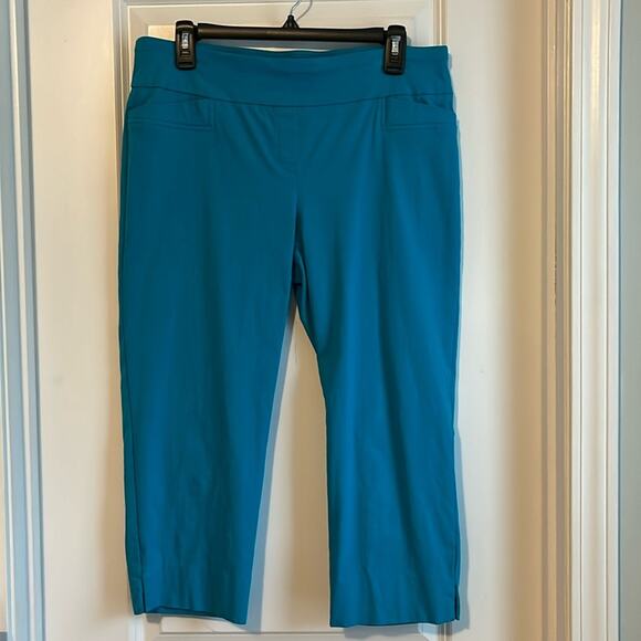 Zac & Rachel Pull-On Turquoise Crop Pants - Picture 1 of 8